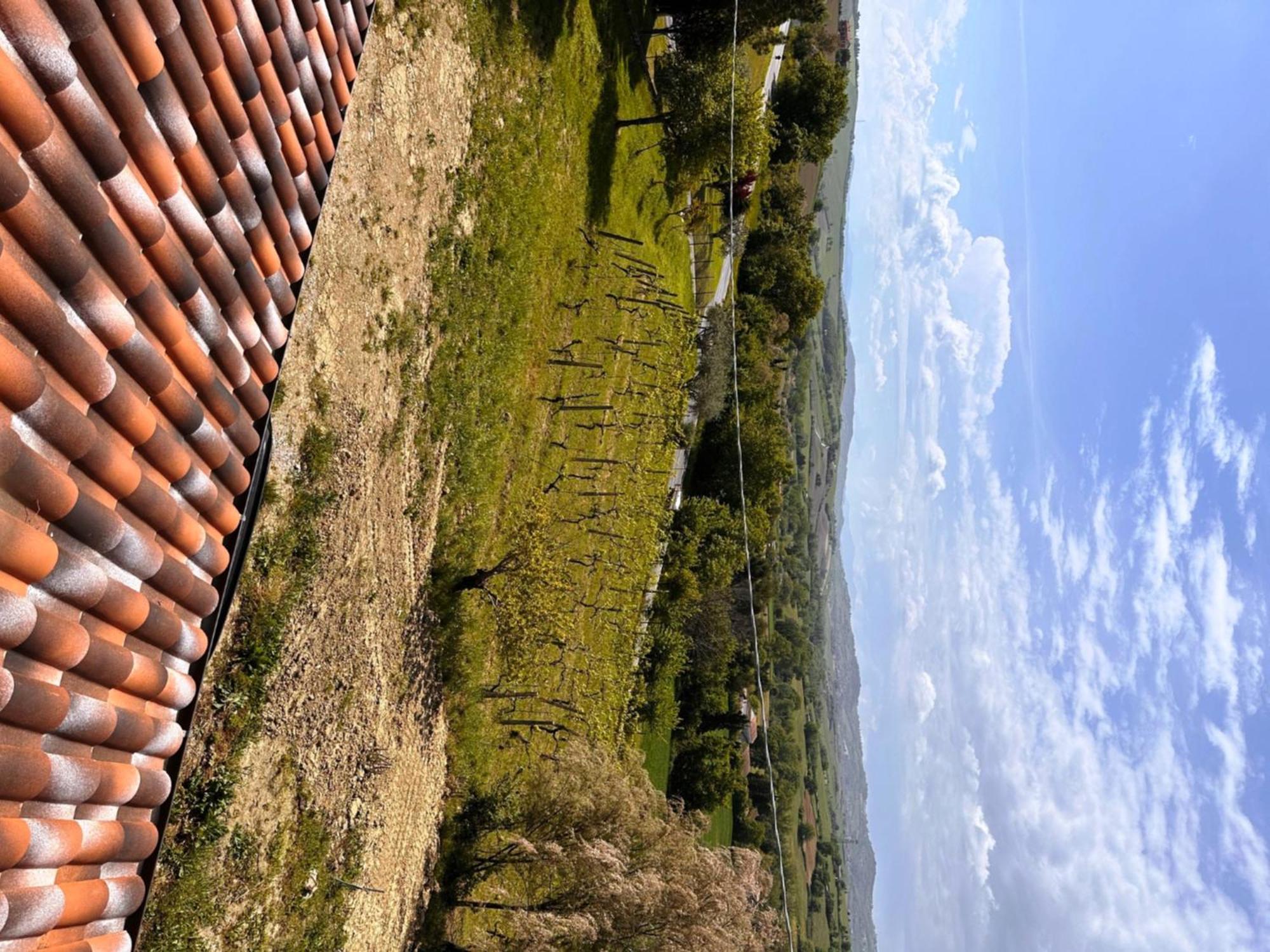 Bed and Breakfast La Sosta Di Guido A Tavullia Exterior foto